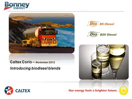 Caltex Corio – November 2012 Introducing biodiesel blends.