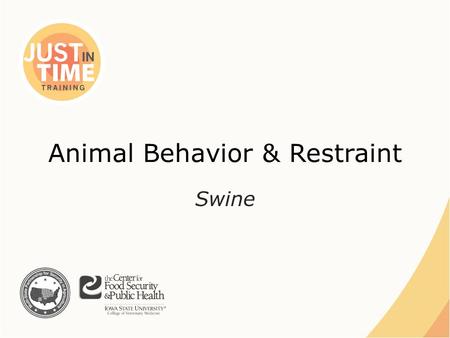 Animal Behavior & Restraint Swine. BEHAVIOR Just In Time Training Animal Behavior and Restraint: Swine.