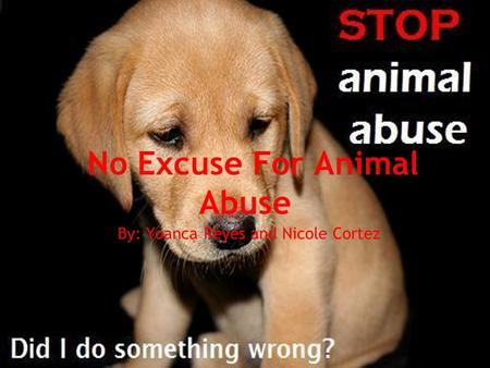 No Excuse For Animal Abuse By: Yoanca Reyes and Nicole Cortez.