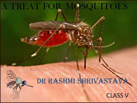 A TREAT FOR MOSQUITOES DR RASHMI SHRIVASTAVA CLASS V.
