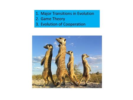 1.Major Transitions in Evolution 2.Game Theory 3.Evolution of Cooperation.