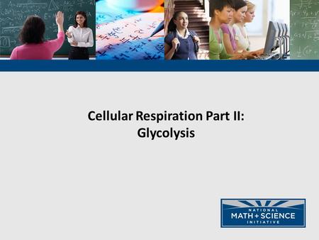Cellular Respiration Part II: Glycolysis. Curriculum Framework f. Cellular respiration in eukaryotes involves a series of coordinated enzyme- catalyzed.