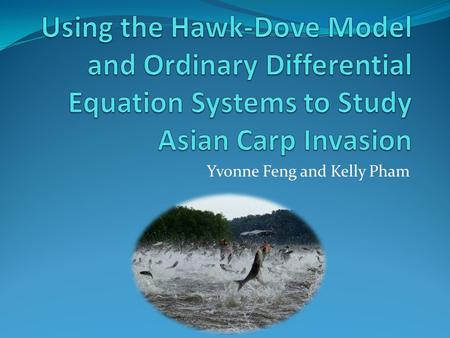 Yvonne Feng and Kelly Pham. Outline Background Motivation Introduction to our models Different Invasion Problems Limitations of our models Future Work.