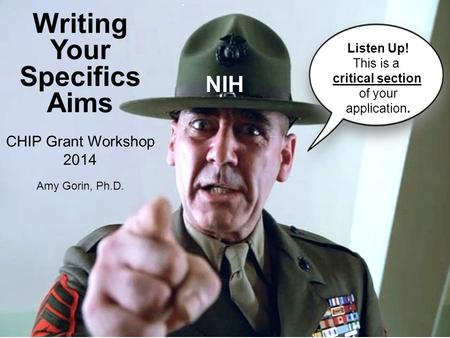 NIH Writing Your Specifics Aims CHIP Grant Workshop 2014 Amy Gorin, Ph.D. Listen Up! This is a critical section of your application.