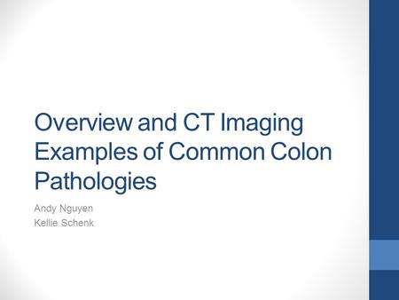 Overview and CT Imaging Examples of Common Colon Pathologies