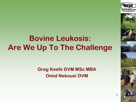 Bovine Leukosis: Are We Up To The Challenge Greg Keefe DVM MSc MBA Omid Nekouei DVM 1.