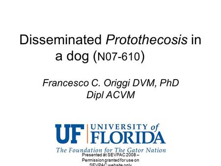 Disseminated Protothecosis in a dog ( N07-610 ) Francesco C. Origgi DVM, PhD Dipl ACVM Presented at SEVPAC 2008 – Permission granted for use on SEVPAC.