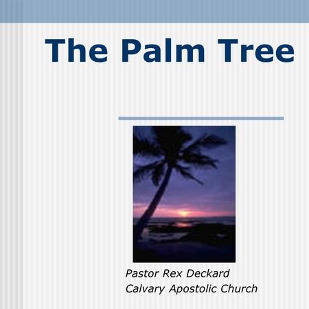 The Palm Tree Pastor Rex Deckard Calvary Apostolic Church.