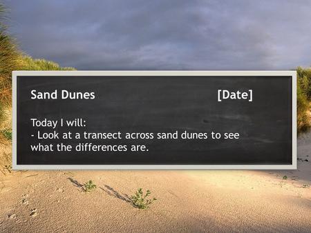 Sand Dunes[Date] Today I will: - Look at a transect across sand dunes to see what the differences are.