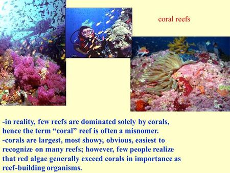 -in reality, few reefs are dominated solely by corals, hence the term “coral” reef is often a misnomer. -corals are largest, most showy, obvious, easiest.