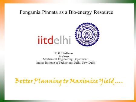 Pongamia Pinnata as a Bio-energy Resource P M V Subbarao Professor Mechanical Engineering Department Indian Institute of Technology Delhi, New Delhi Better.