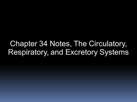 Chapter 34 Notes, The Circulatory, Respiratory, and Excretory Systems