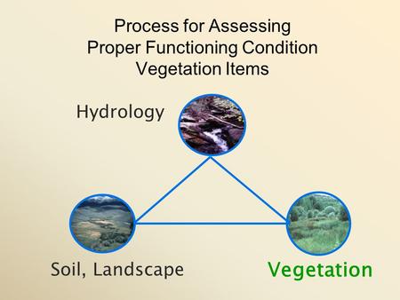 Vegetation Soil, Landscape Hydrology Process for Assessing Proper Functioning Condition Vegetation Items.