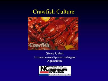 Crawfish Culture Steve Gabel Extension Area Specialized Agent Aquaculture.