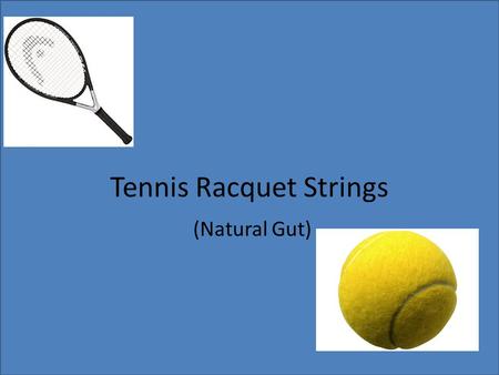 Tennis Racquet Strings (Natural Gut). How It Is Made Natural gut’s main source is a cow intestine called serosa. It is long and has great tensile strength.