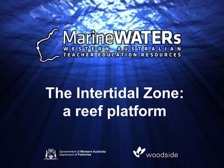 The Intertidal Zone: a reef platform. The intertidal zone, also known as the littoral zone, is that area between high tide and low tide. It can be divided.