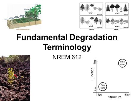 Fundamental Degradation Terminology NREM 612 Structure Function Initial state Degr. state lowhigh low high.