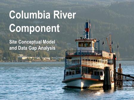 Columbia River Component Site Conceptual Model and Data Gap Analysis.