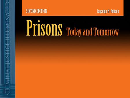 Chapter 2 The American Prison in Historical Perspective: Race, Gender, and Adjustment.