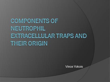 Vince Yokois. The Question  Do all the factors that NETs compose of derive from neutrophils, or are they obtained from another source? -Strategies to.