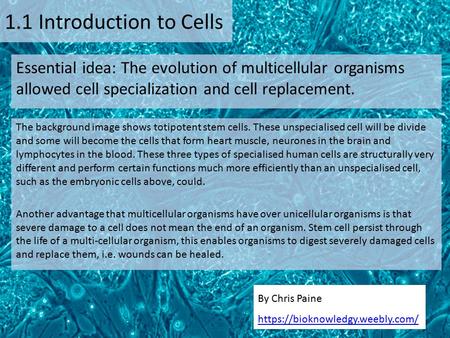 1.1 Introduction to Cells Essential idea: The evolution of multicellular organisms allowed cell specialization and cell replacement. The background image.
