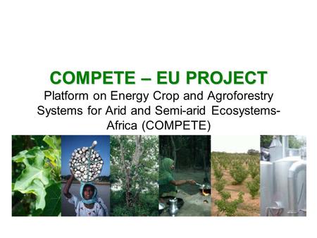 COMPETE – EU PROJECT COMPETE – EU PROJECT Platform on Energy Crop and Agroforestry Systems for Arid and Semi-arid Ecosystems- Africa (COMPETE)