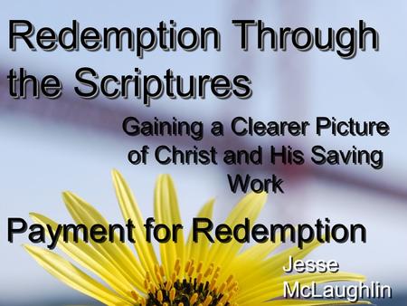 Redemption Through the Scriptures Gaining a Clearer Picture of Christ and His Saving Work Payment for Redemption Jesse McLaughlin.
