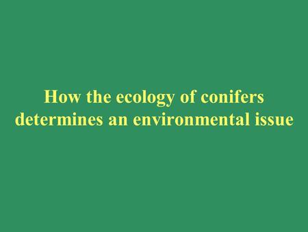 How the ecology of conifers determines an environmental issue.