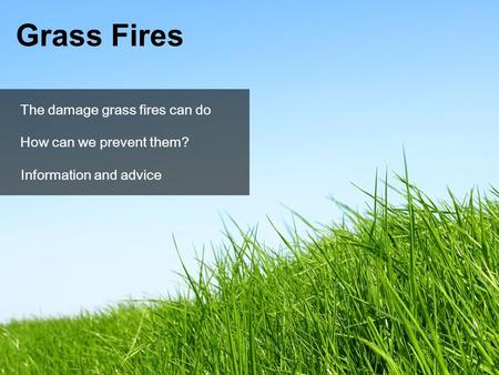 Information and advice Grass Fires The damage grass fires can do How can we prevent them?