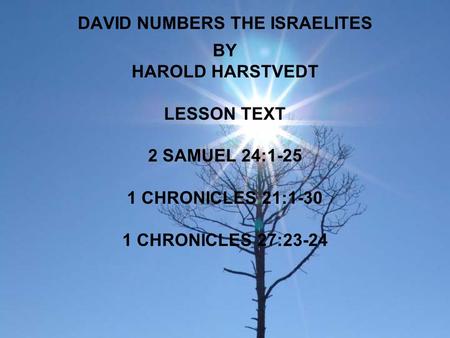 DAVID NUMBERS THE ISRAELITES