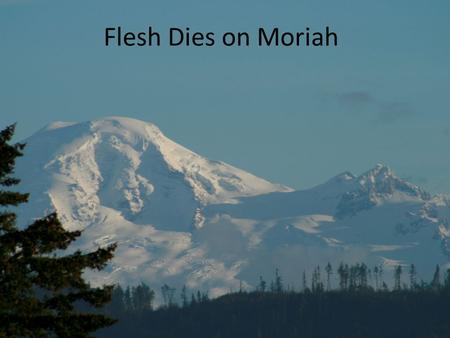 Flesh Dies on Moriah. Gen 22:1 And it came to pass after these things, that God did tempt Abraham, and said unto him, Abraham: and he said, Behold, here.