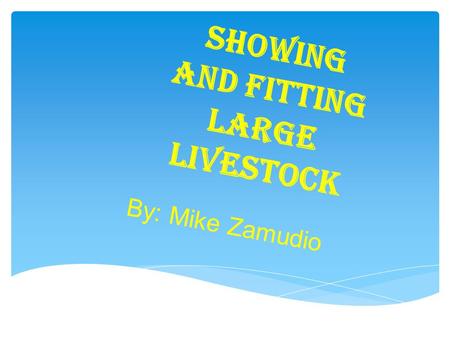 Showing and Fitting Large Livestock