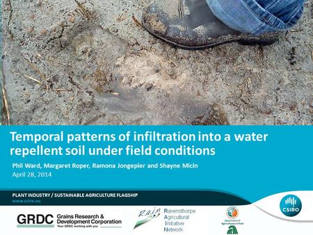 Temporal patterns of infiltration into a water repellent soil under field conditions Phil Ward, Margaret Roper, Ramona Jongepier and Shayne Micin April.