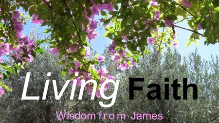 Living Faith Wisdom from James. Living Faith Wisdom from James James 5: 13-20.