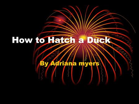 How to Hatch a Duck By Adriana myers. How to Hatch a Duck Next let the heat suclate in the incubater. Keep it to 99 digres. Then put the egg’s in the.
