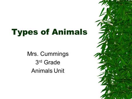 Mrs. Cummings 3rd Grade Animals Unit