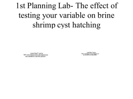 1st Planning Lab- The effect of testing your variable on brine shrimp cyst hatching.