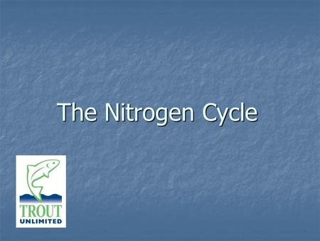 The Nitrogen Cycle. Call it cycling, nitrification, biological cycle, startup cycle, break-in cycle, or the nitrogen cycle. No matter what name you.