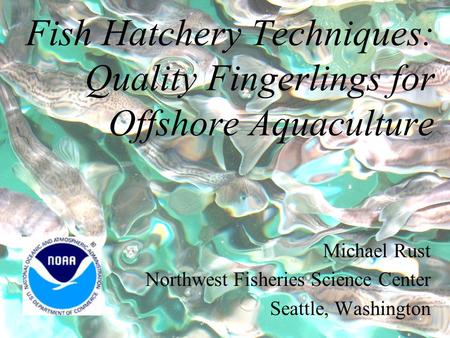 Fish Hatchery Techniques: Quality Fingerlings for Offshore Aquaculture Michael Rust Northwest Fisheries Science Center Seattle, Washington.