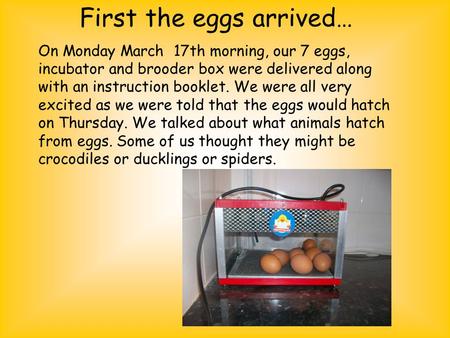 First the eggs arrived… On Monday March 17th morning, our 7 eggs, incubator and brooder box were delivered along with an instruction booklet. We were all.