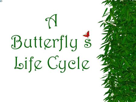 A Butterfly s Life Cycle Understand the life cycle of a butterfly. Objectives 1.) Egg Stage 2.) Larva Stage 3.) Pupae Stage 4.) Adult Stage Know the.