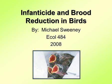 Infanticide and Brood Reduction in Birds By: Michael Sweeney Ecol 484 2008.
