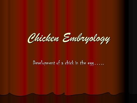 Chicken Embryology Development of a chick in the egg…..