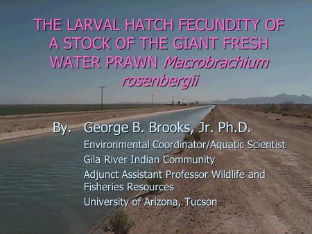 THE LARVAL HATCH FECUNDITY OF A STOCK OF THE GIANT FRESH WATER PRAWN Macrobrachium rosenbergii By. George B. Brooks, Jr. Ph.D. Environmental Coordinator/Aquatic.