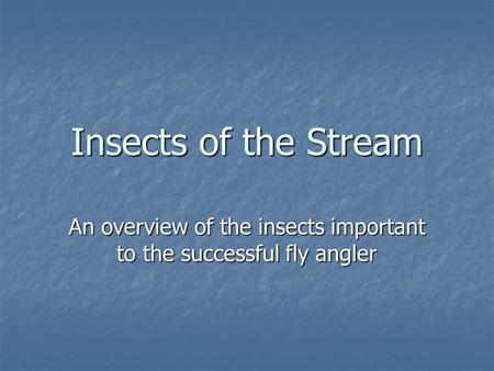 Insects of the Stream An overview of the insects important to the successful fly angler.