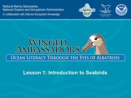 Lesson 1: Introduction to Seabirds. Lesson 1 Presentation Content – What is a seabird? – Wingspan Activity – Life Cycle & Adaptations – Marine Food Webs.