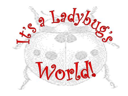 Ladybugs are beetles. They are small oval-shaped insects with wings. Sometimes they are called ladybirds or lady beetles. What is a ladybug?