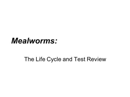 The Life Cycle and Test Review