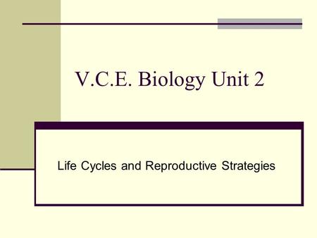 Life Cycles and Reproductive Strategies