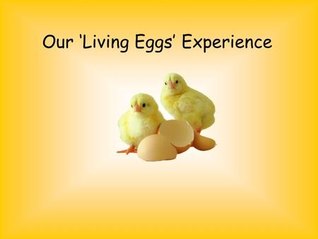 Our ‘Living Eggs’ Experience. First the eggs arrived… On Tuesday morning, our ten eggs, incubator and brooder box were delivered along with a poster and.